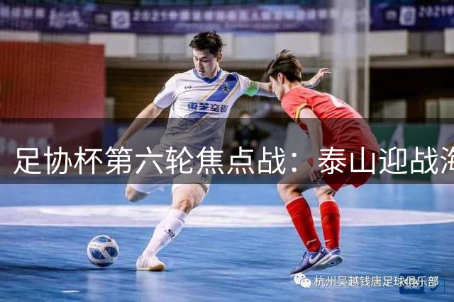 足协杯第六轮焦点战：泰山迎战海港